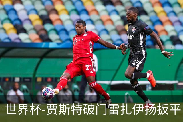 世界杯-贾斯特破门雷扎伊扬扳平 半场伊朗1-1新西兰