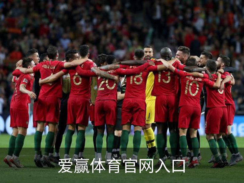 爱赢体育官网入口介绍